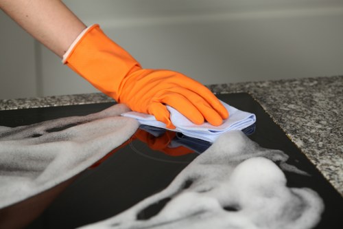 Professional carpet cleaning in a North Harrow living room