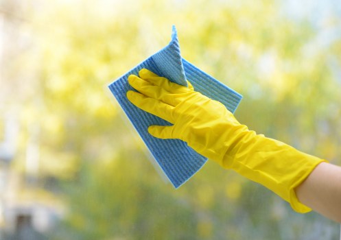 Image showing a carpet cleaning team promoting ethical labour standards