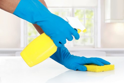 Sustainable carpet cleaning team working in North Harrow
