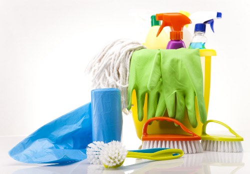 Deep cleaning treatment for pet odours in North Harrow home