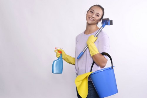 Deep cleaning a fabric sofa in a North Harrow home