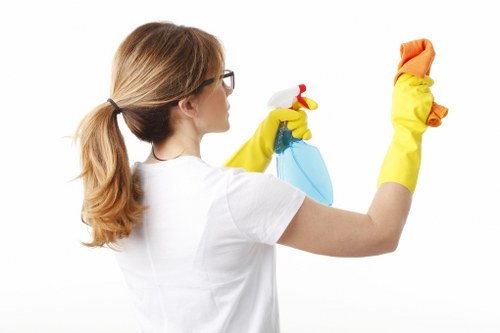 Deep carpet steam cleaning benefits in North Harrow homes