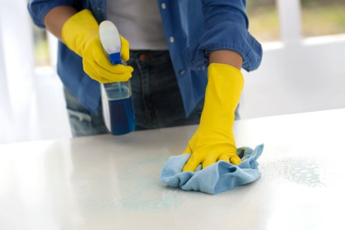 Common household stains treated in North Harrow homes